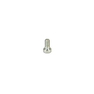 Schraube für Flanschwelle M6 × 10 mm