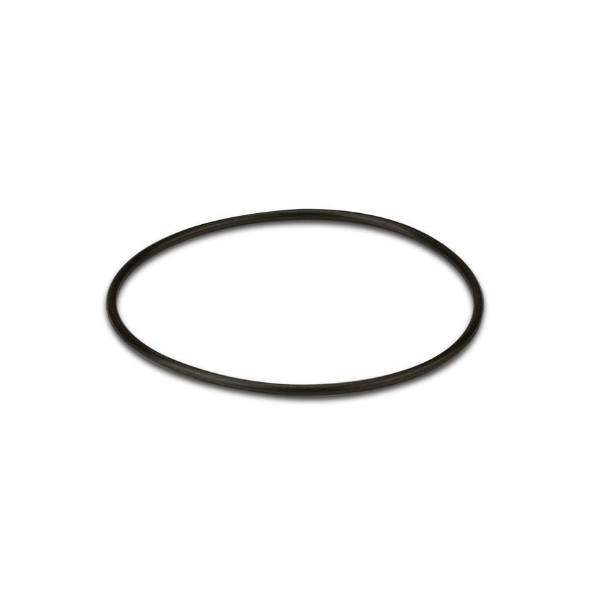 O-ring 64 × 2 mm (250160)