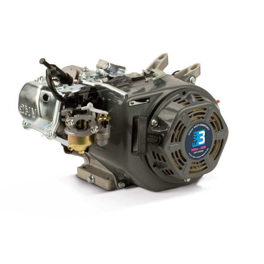 Kart engine DM 200 cc EVO3
