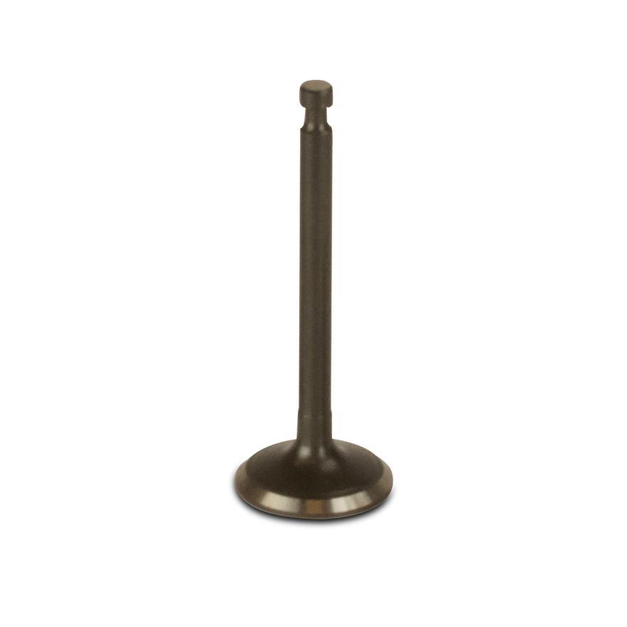 Intake valve